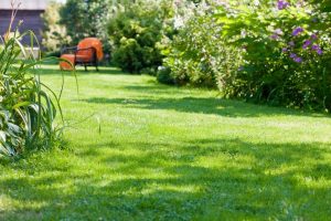 travaux jardin et paysage Bignoux